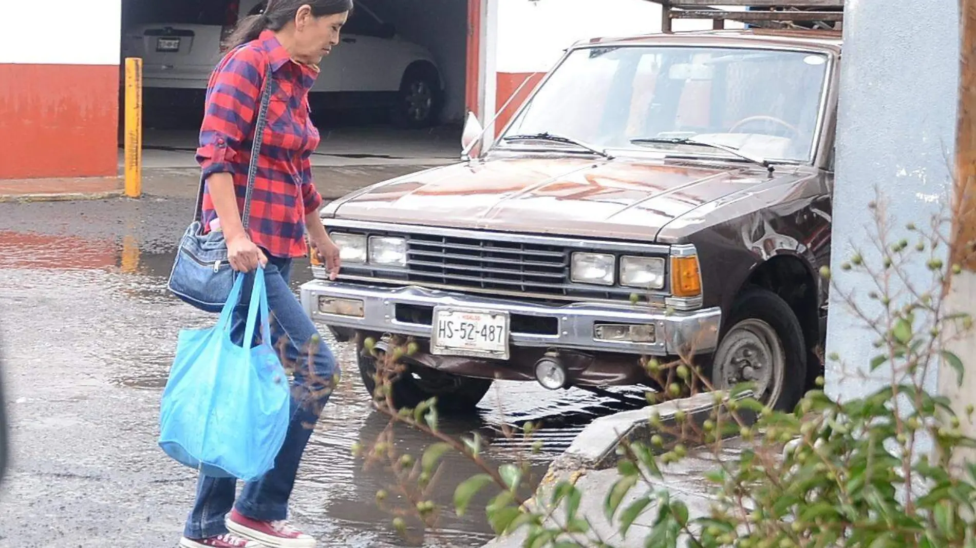 Agremiados apuestan por las bolsas ecológicas.